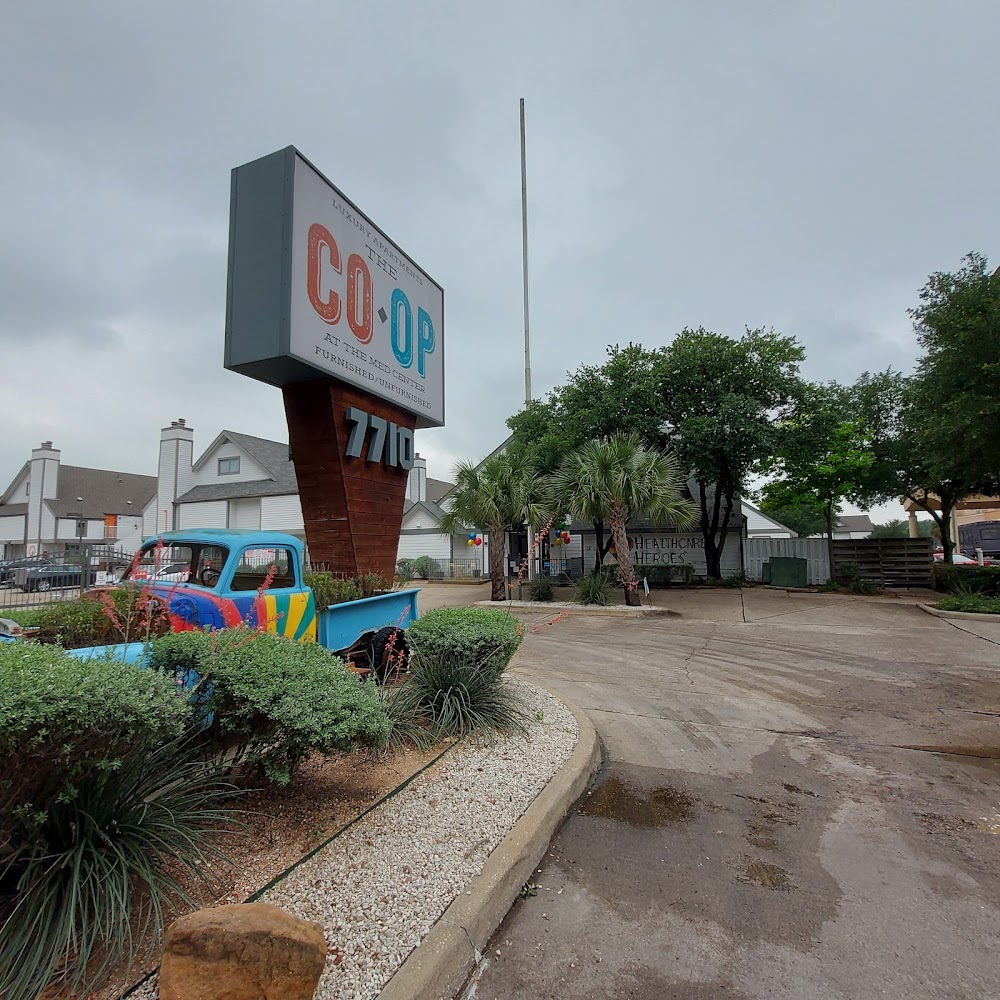 Imagen de la galería 6