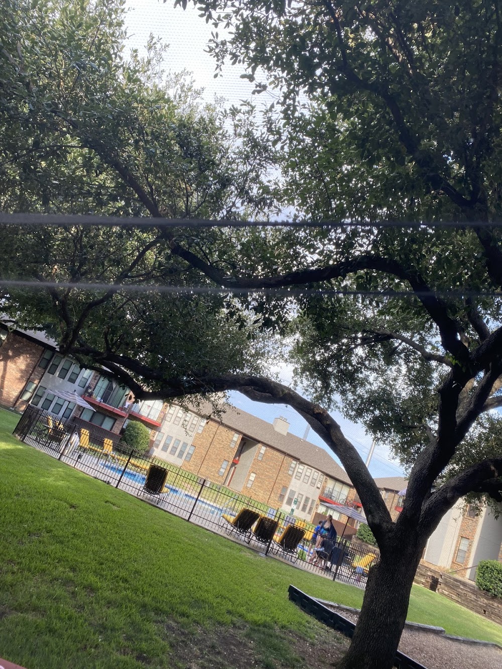 Imagen de la galería 1