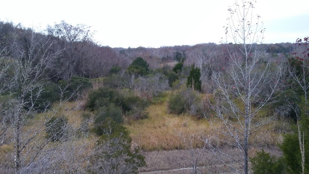 Imagen de la galería 4