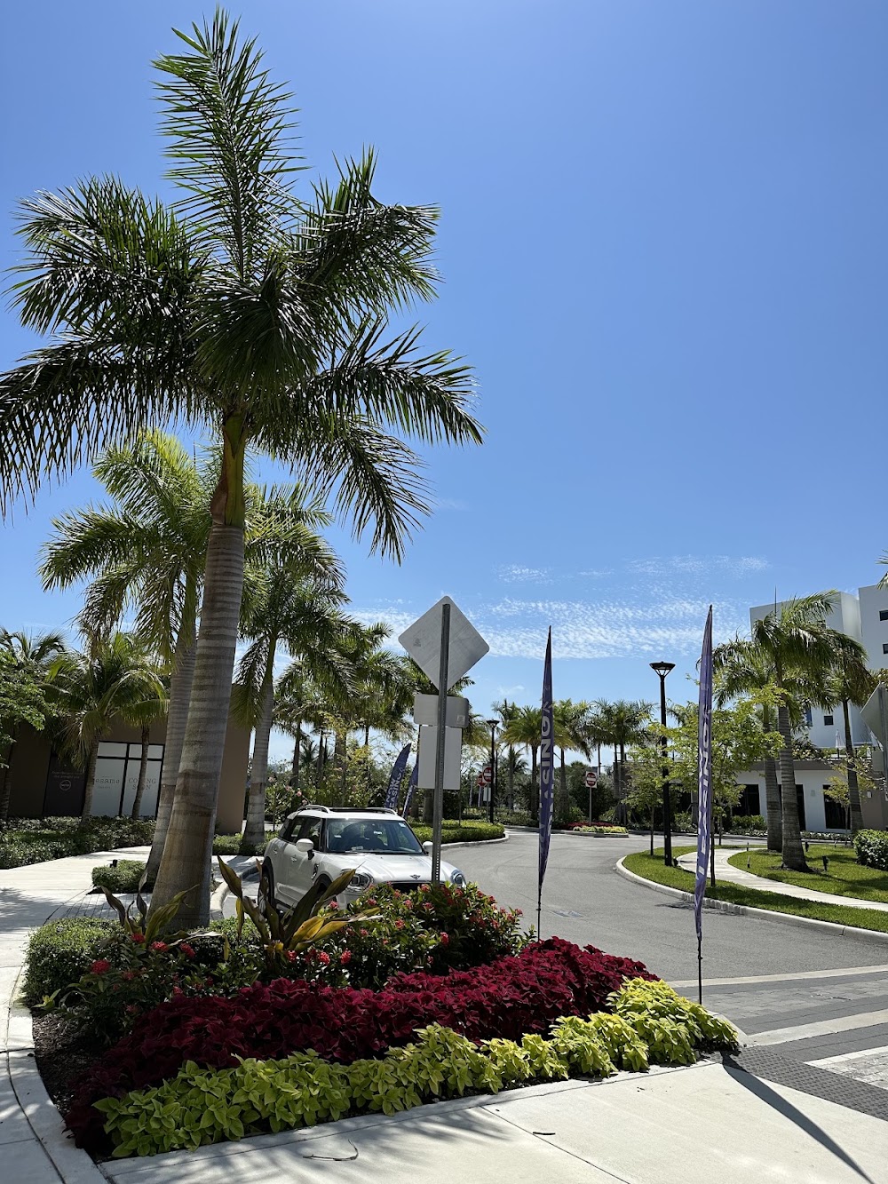 Imagen de la galería 6