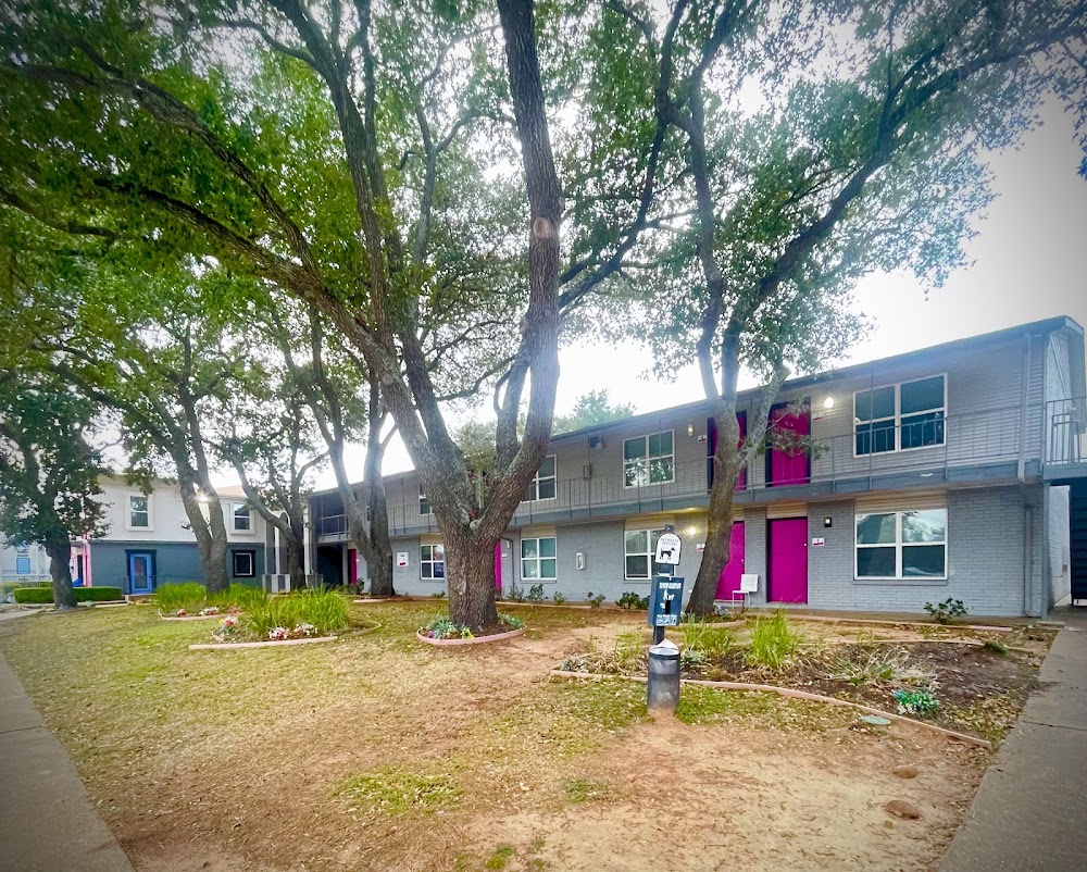 Imagen de la galería 2