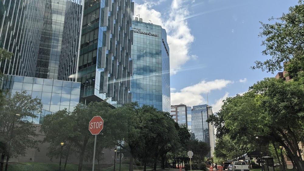 Imagen de la galería 3
