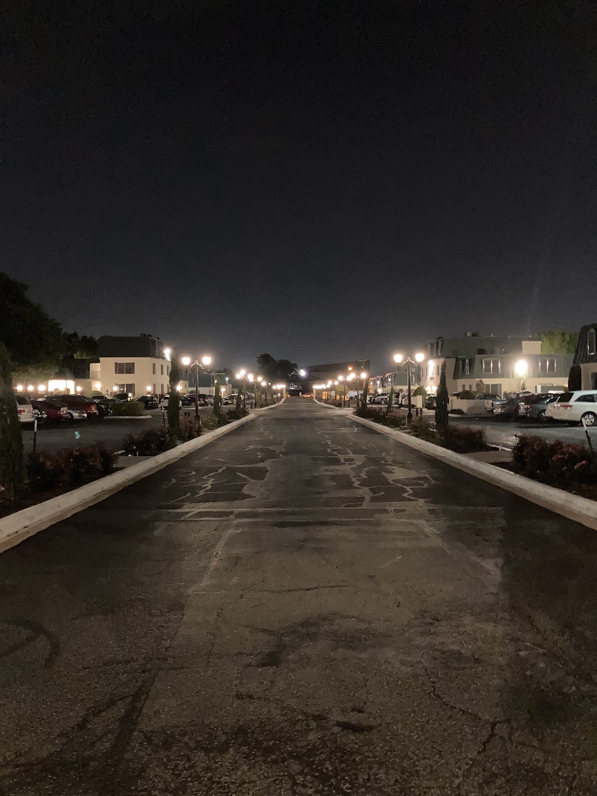 Imagen de la galería 2