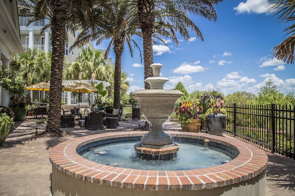 Imagen de la galería 4