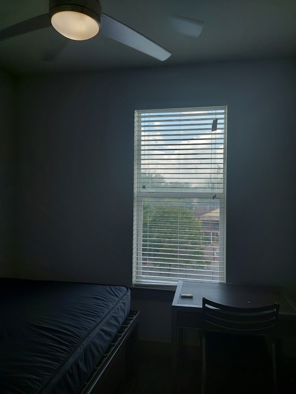 Imagen de la galería 1