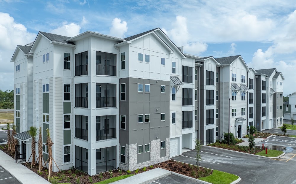 Imagen de la galería 6