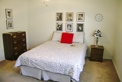 Imagen de la galería 1