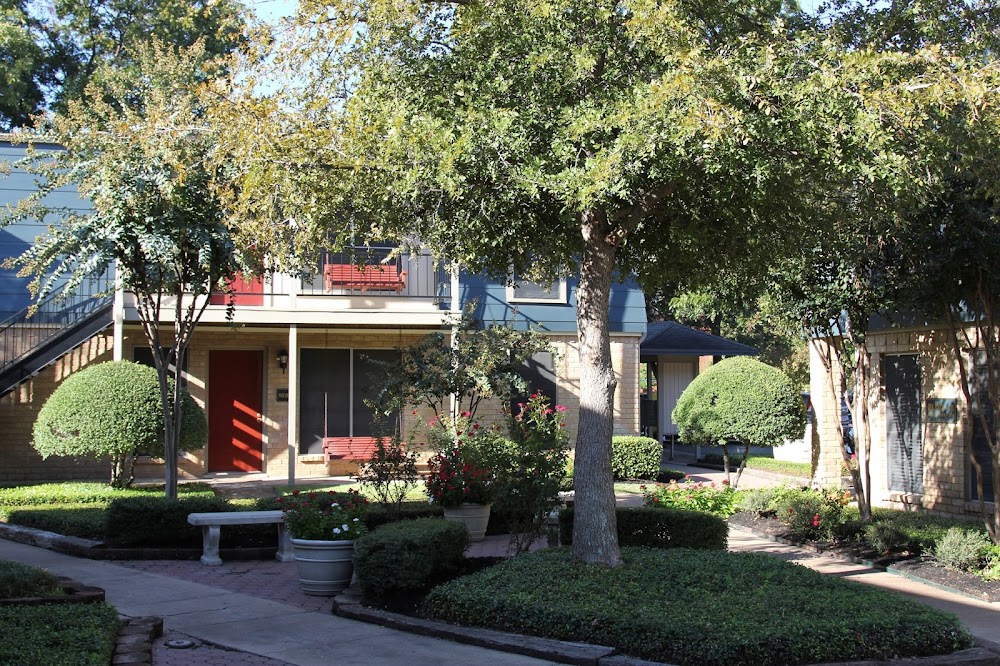 Imagen de la galería 4