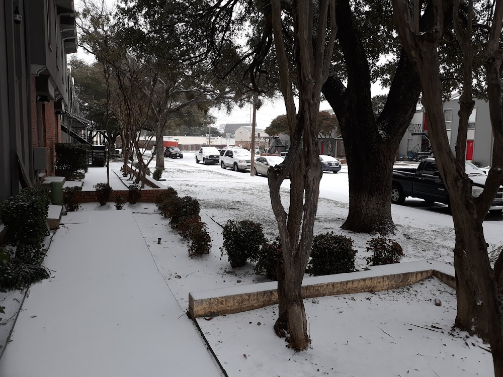 Imagen de la galería 6