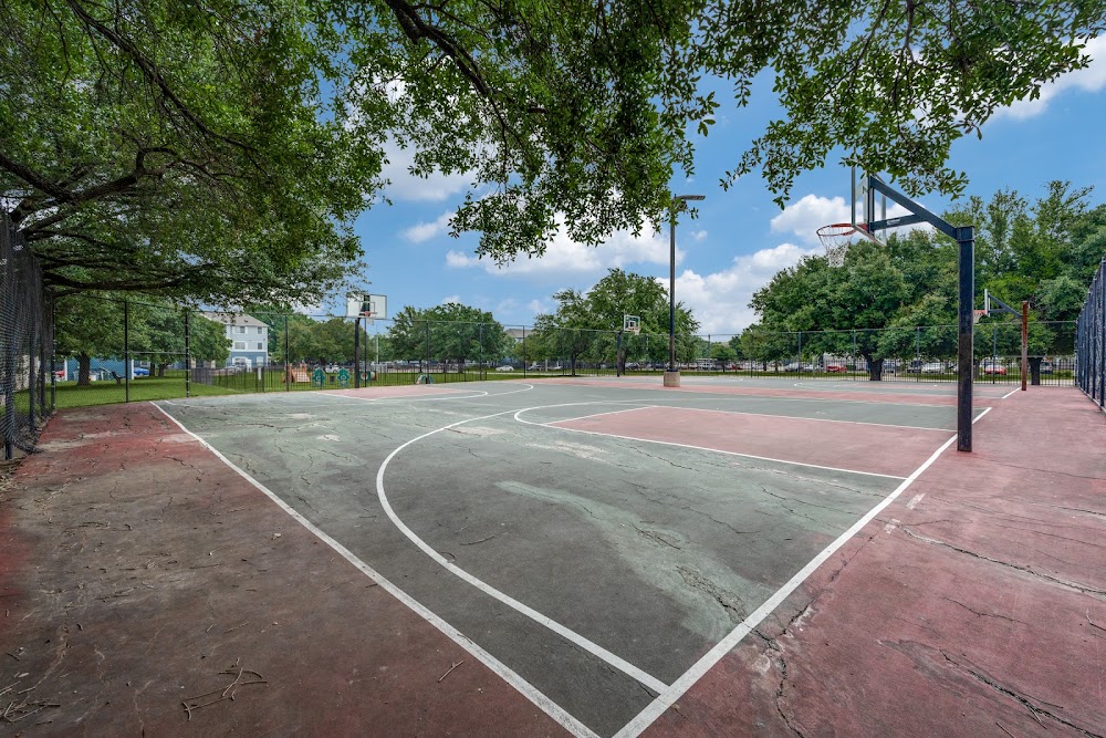 Imagen de la galería 8