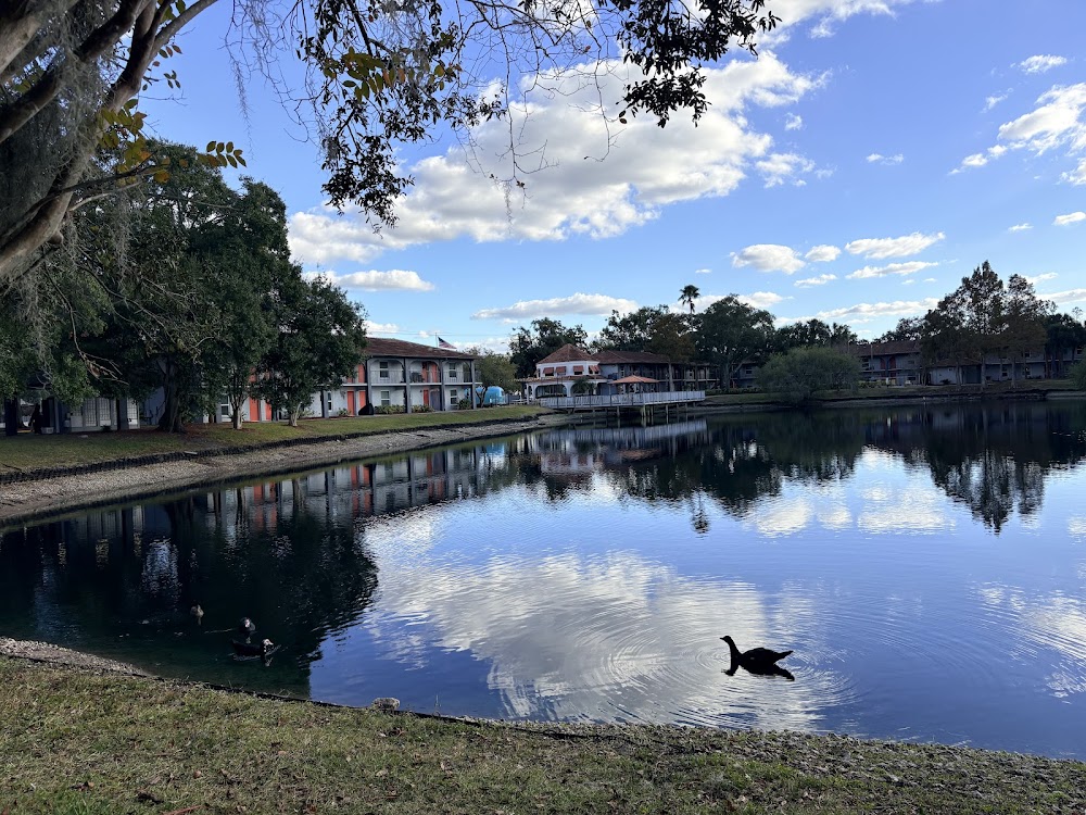 Imagen de la galería 7