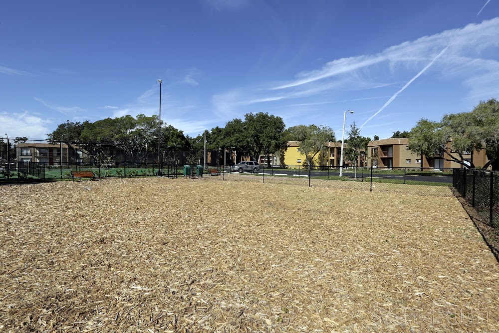 Imagen de la galerĂa 9