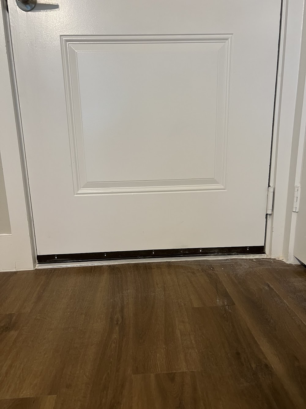 Imagen de la galería 5