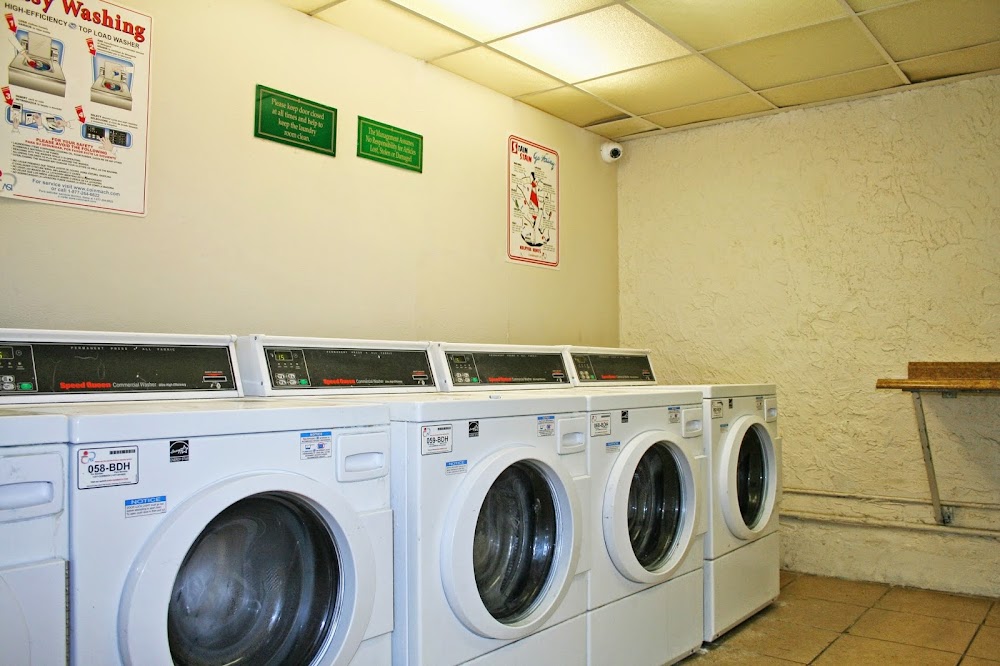Imagen de la galería 10