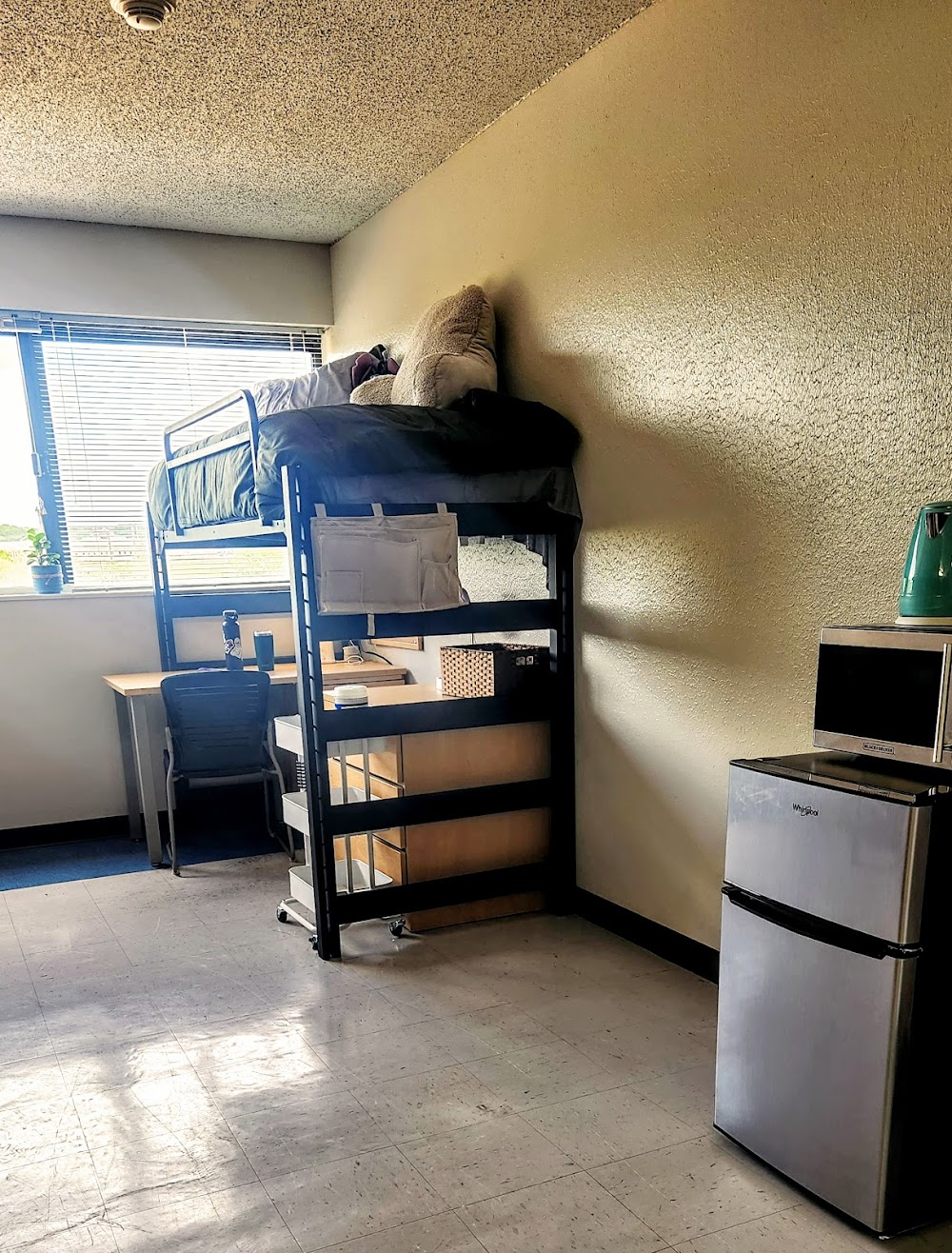 Imagen de la galería 1