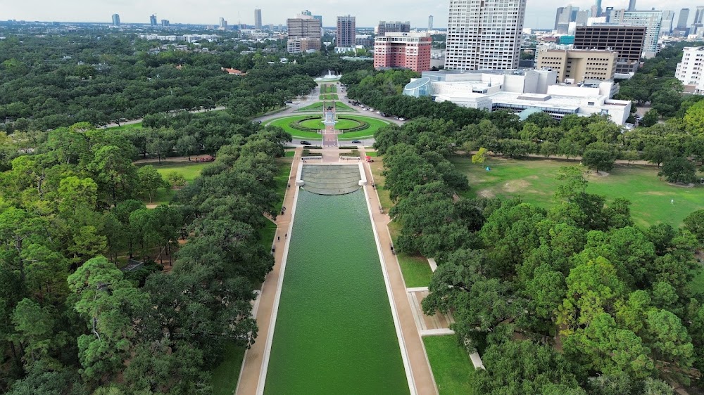 Imagen de la galería 12