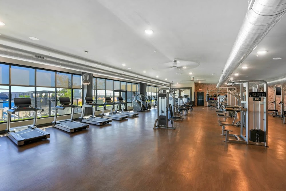 Imagen de la galería 9