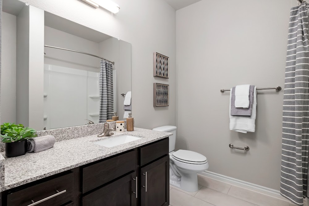 Imagen de la galería 6