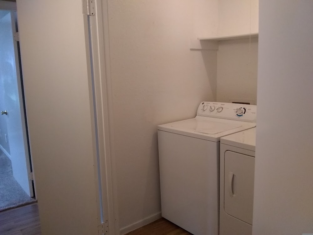 Imagen de la galería 10