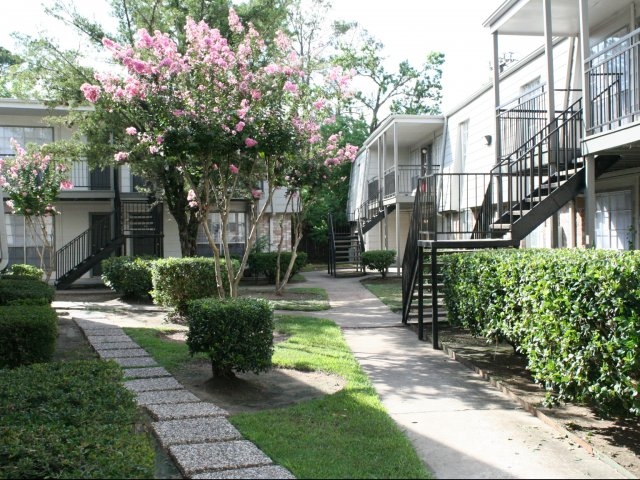 Imagen de la galería 4