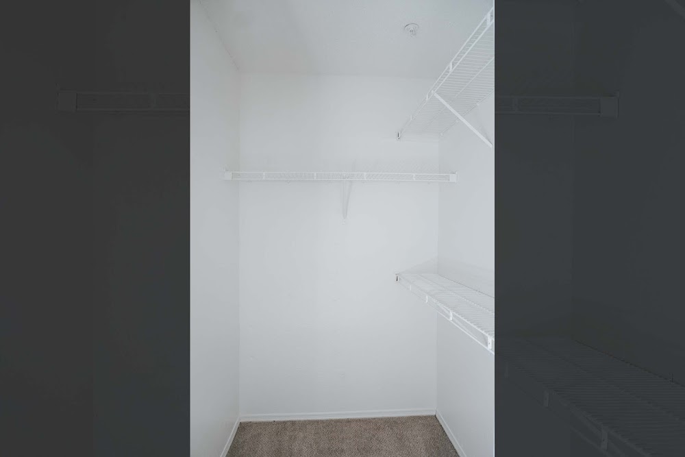 Imagen de la galería 10