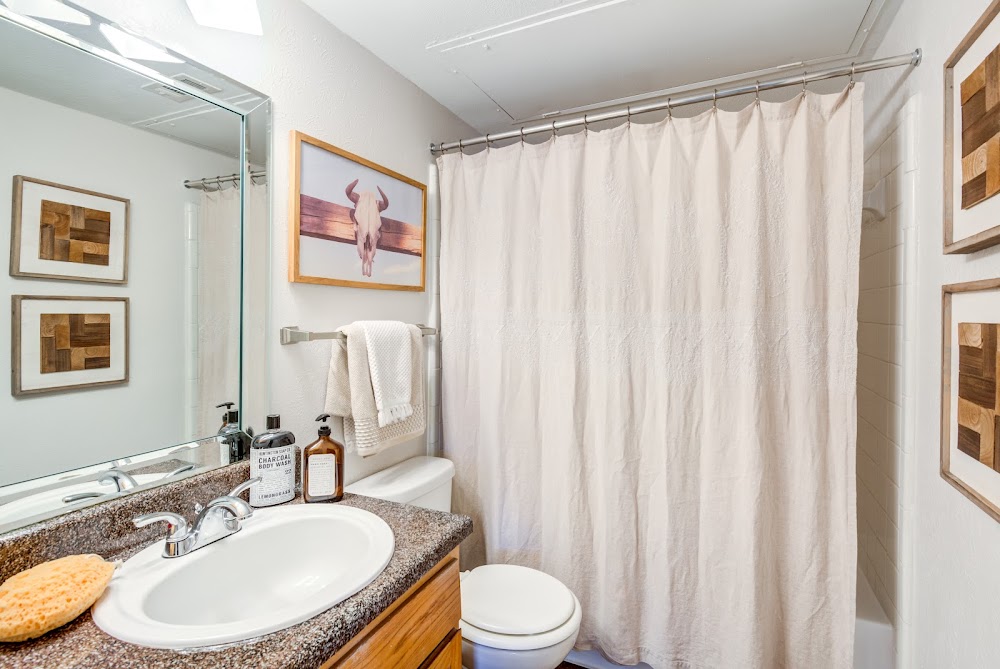 Imagen de la galería 10