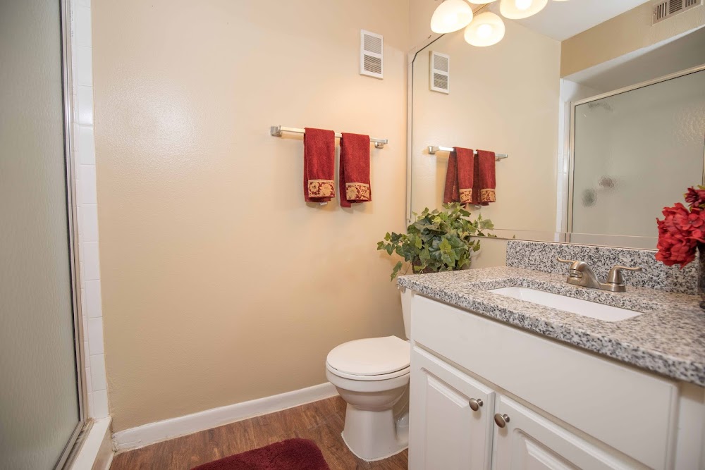 Gallery Image 9