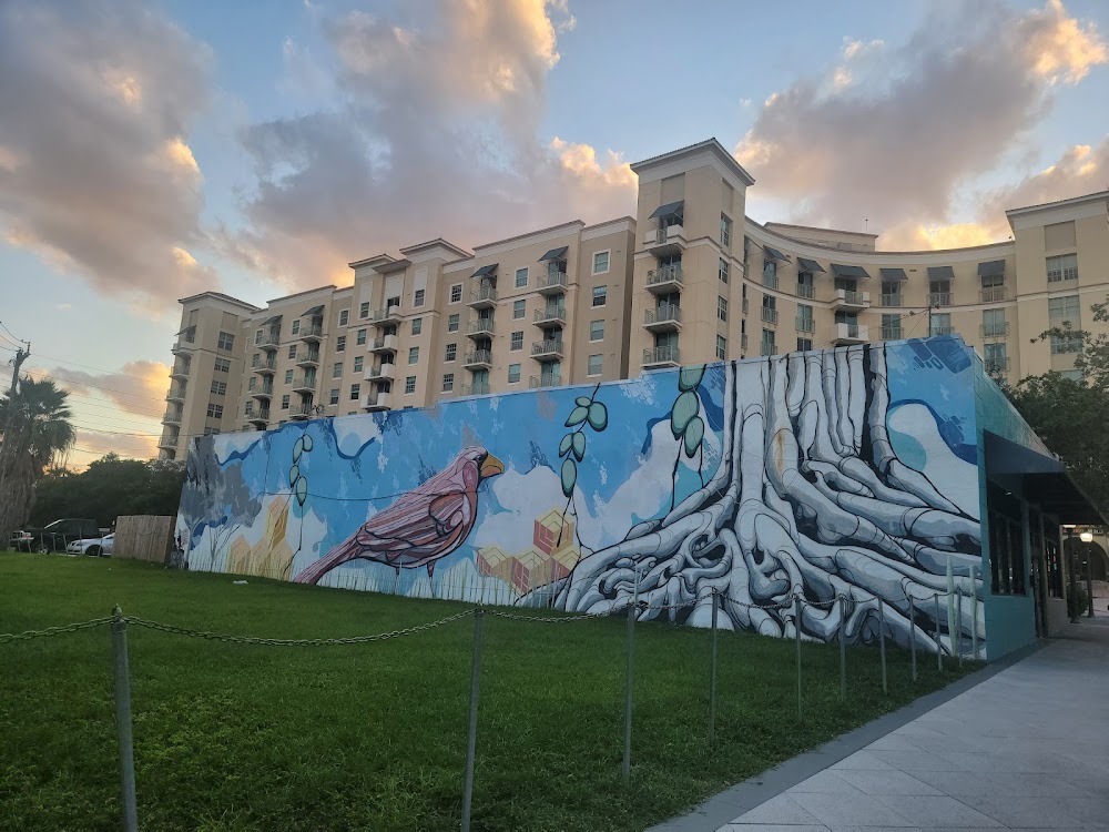 Imagen de la galería 6