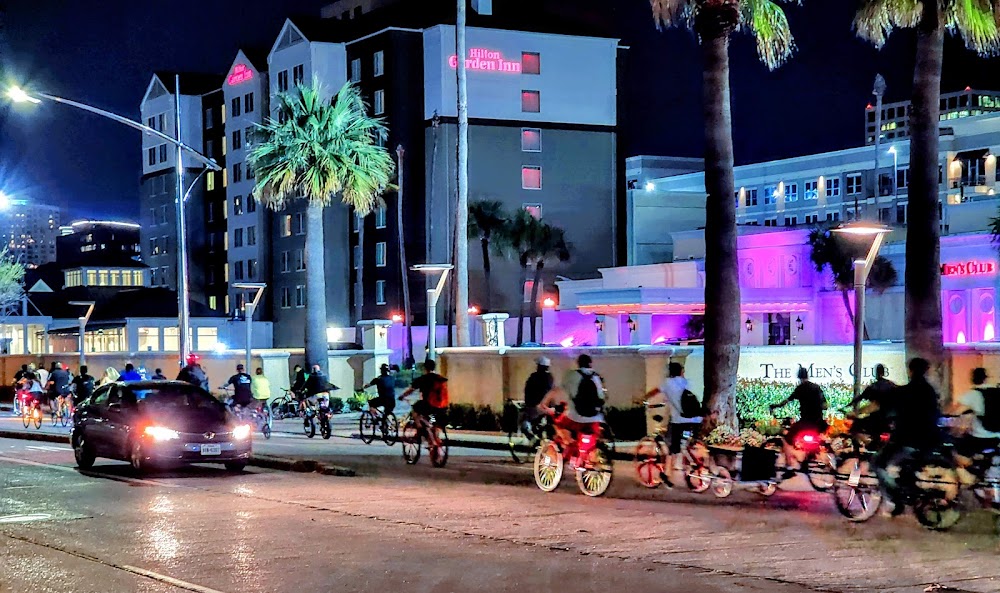 Imagen de la galería 5