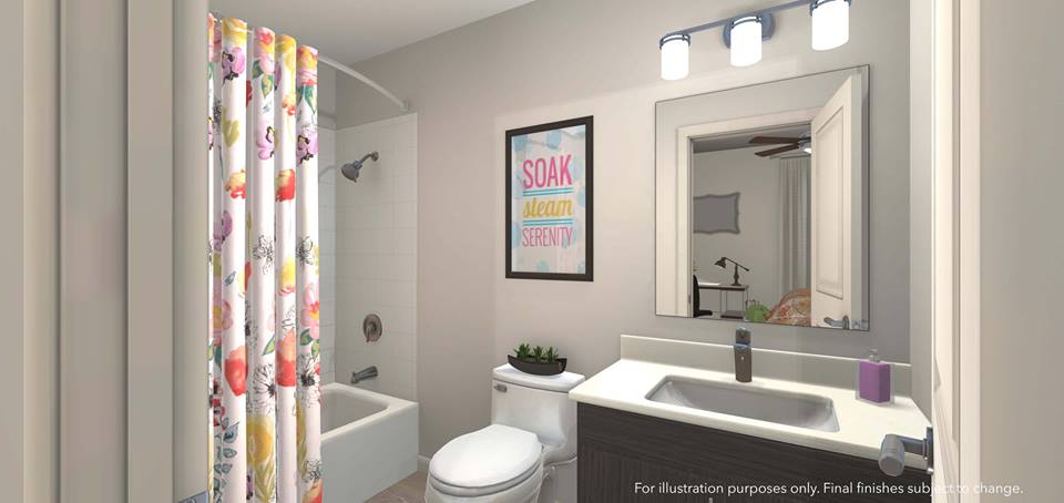 Imagen de la galería 6
