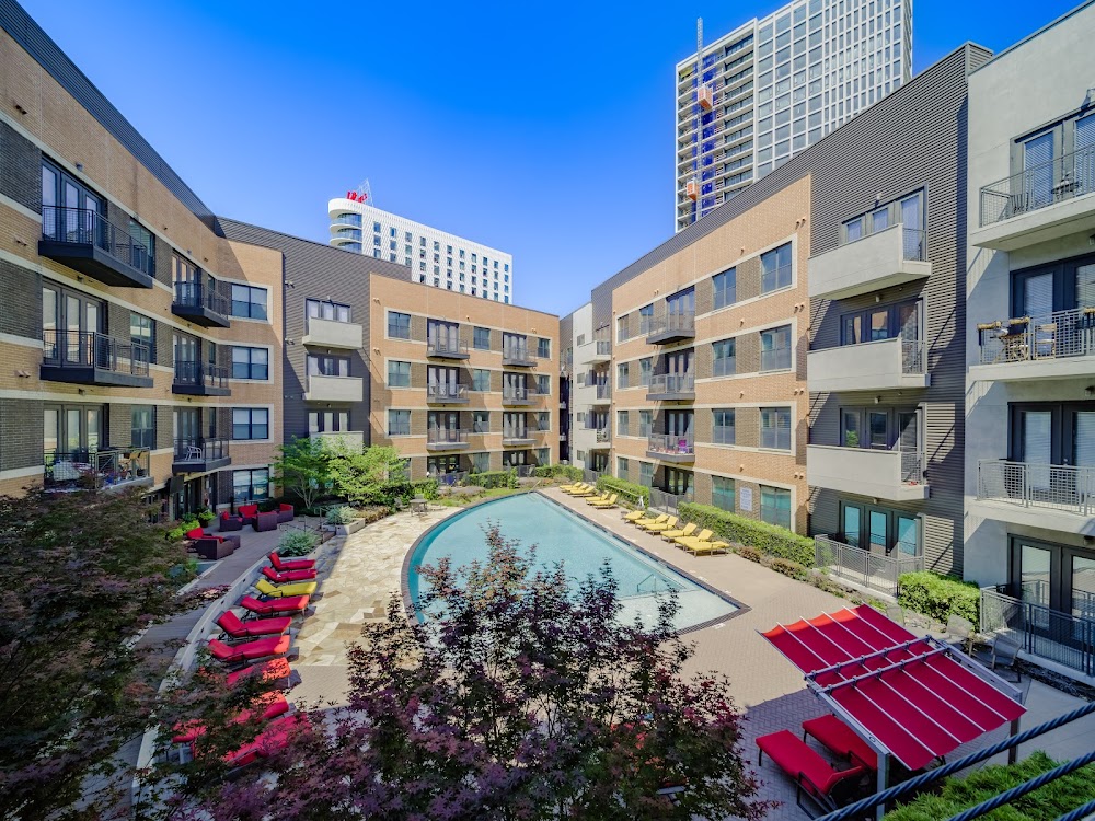 Imagen de la galería 7