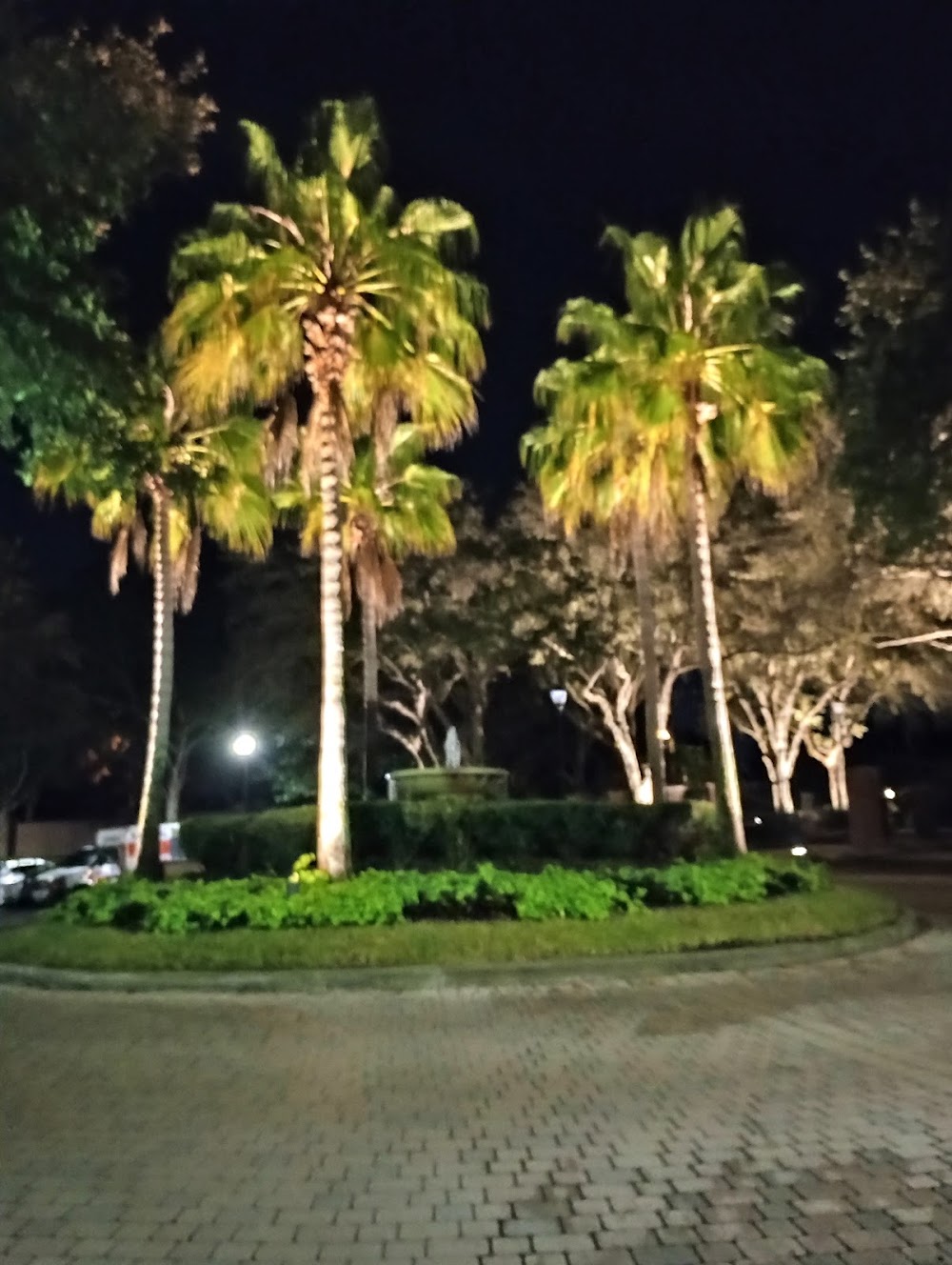 Gallery Image 9