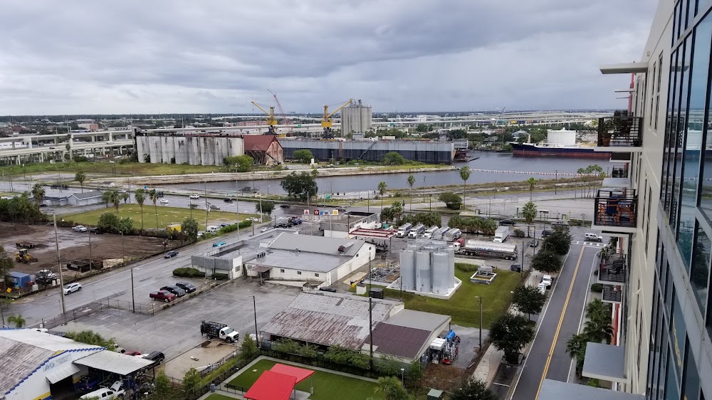 Imagen de la galería 6