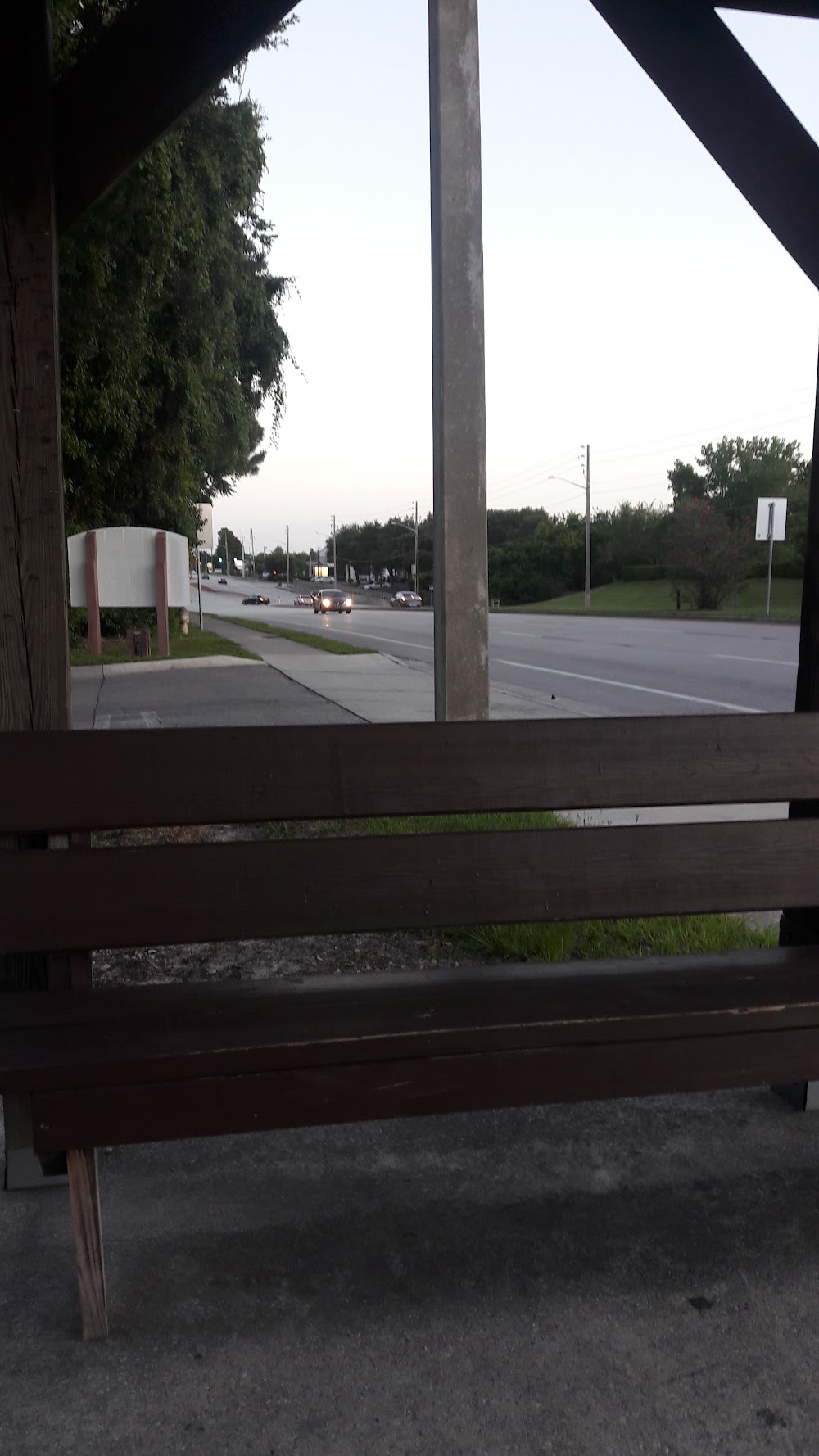 Imagen de la galería 7