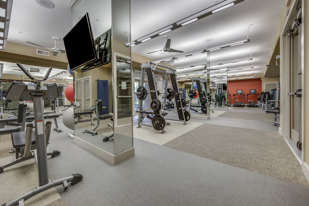 Gallery Image 9