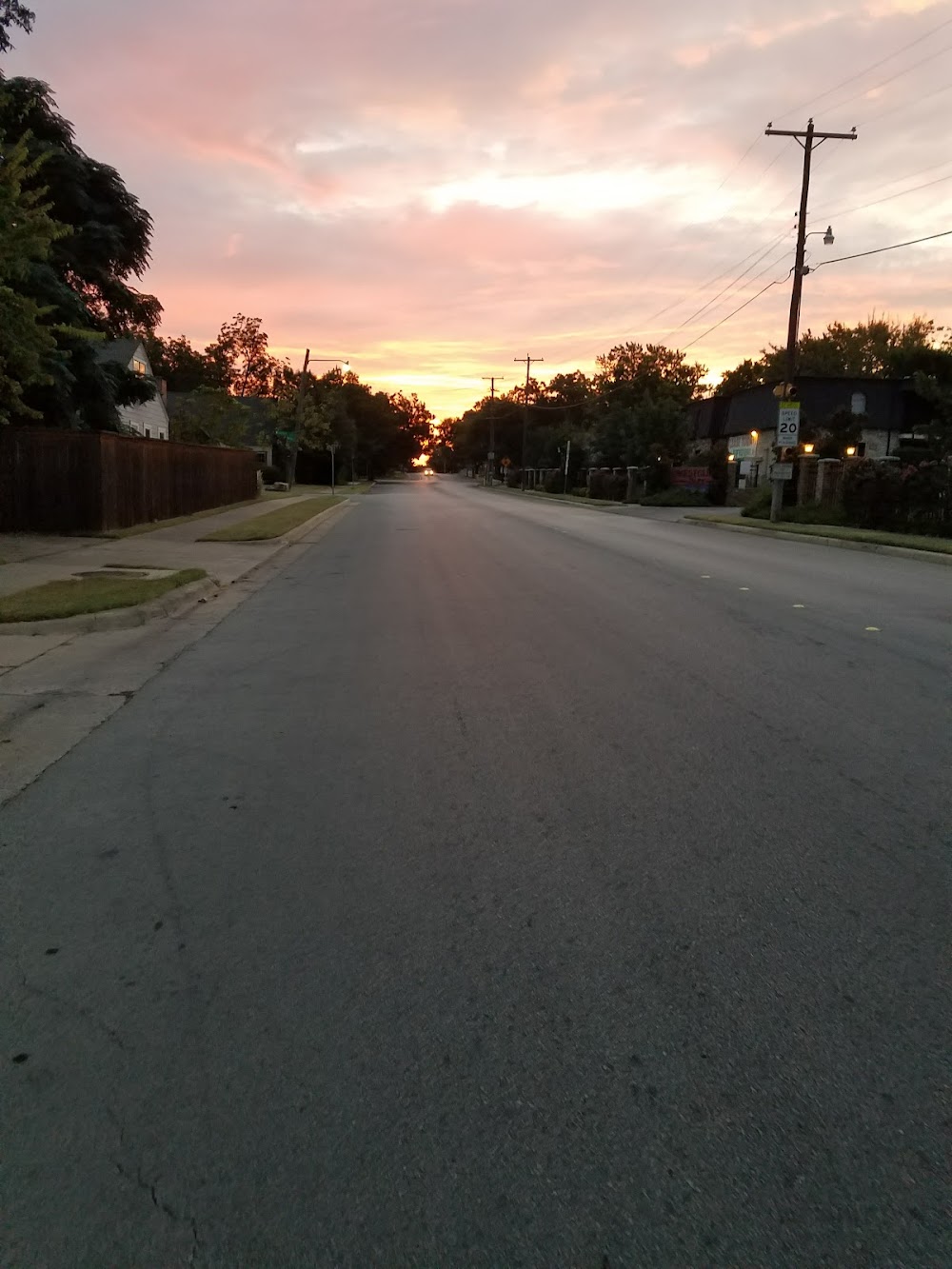 Imagen de la galería 6