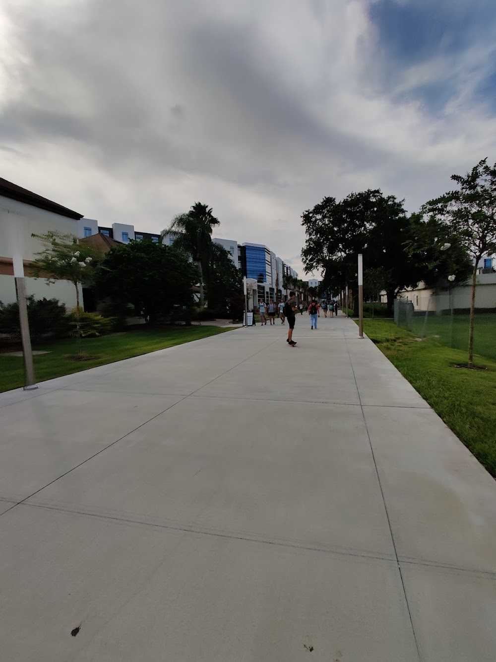 Imagen de la galería 2