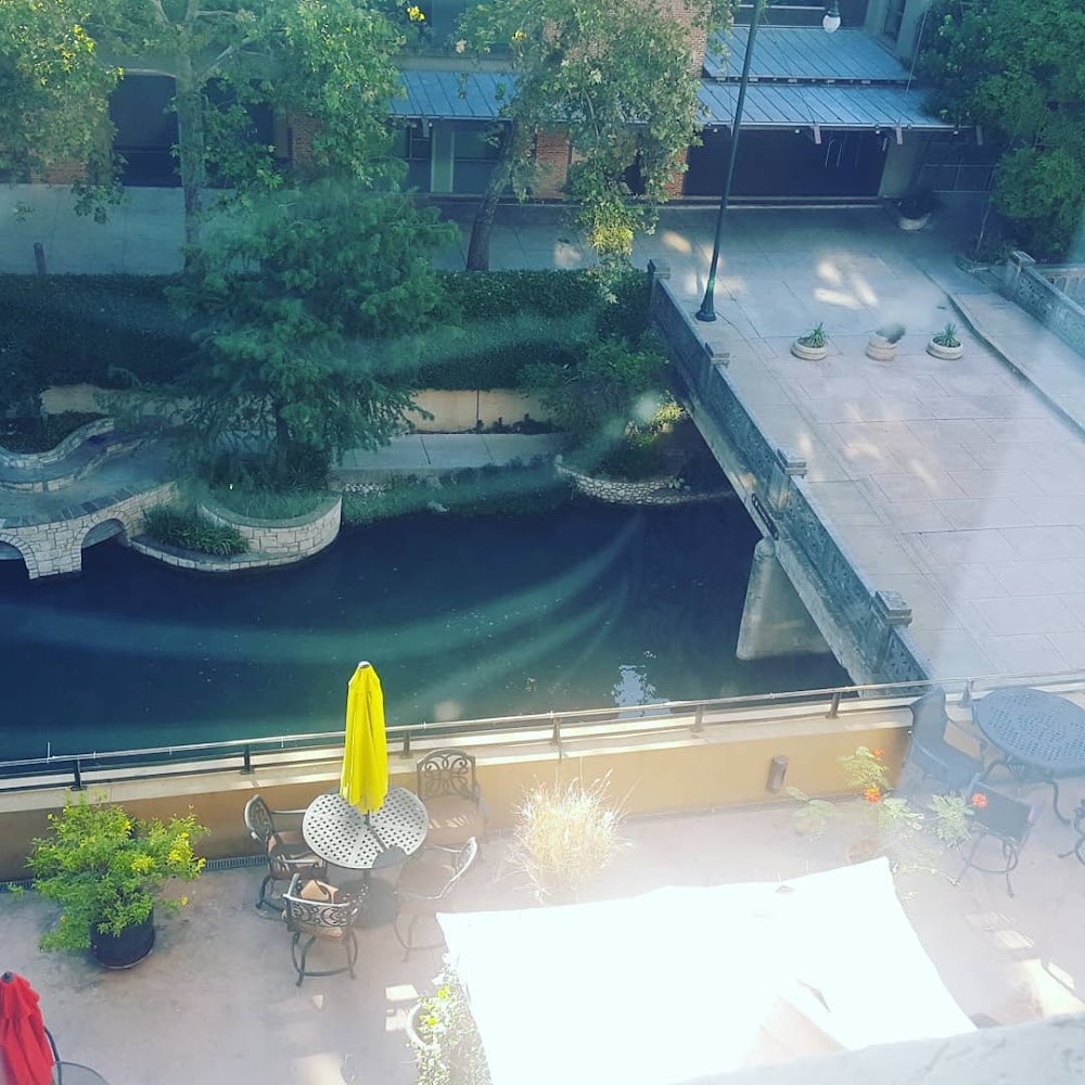 Imagen de la galería 4