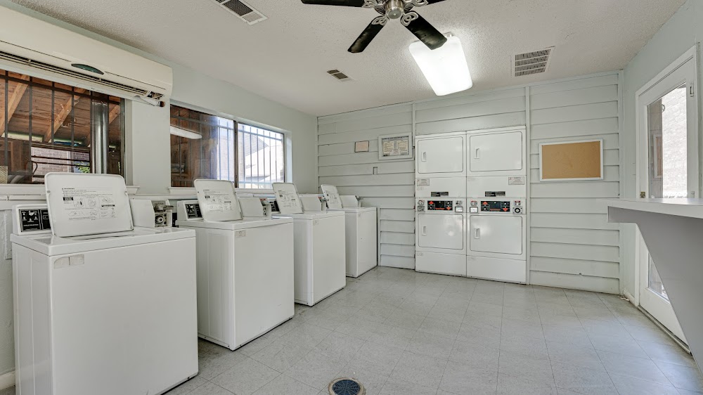Imagen de la galería 10