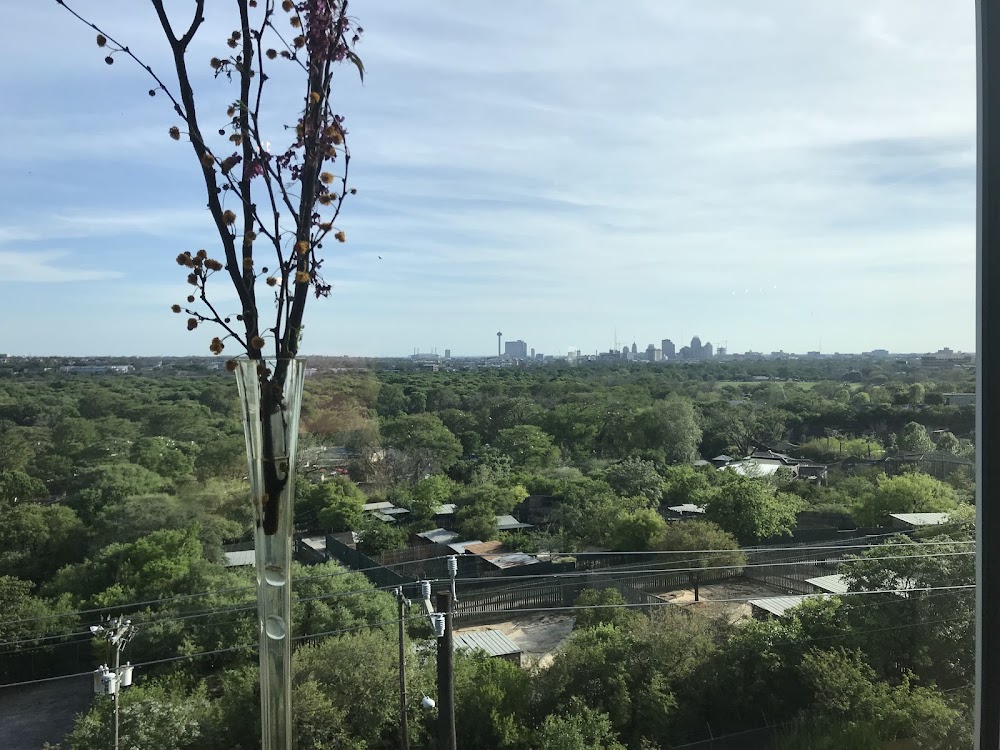 Imagen de la galería 2