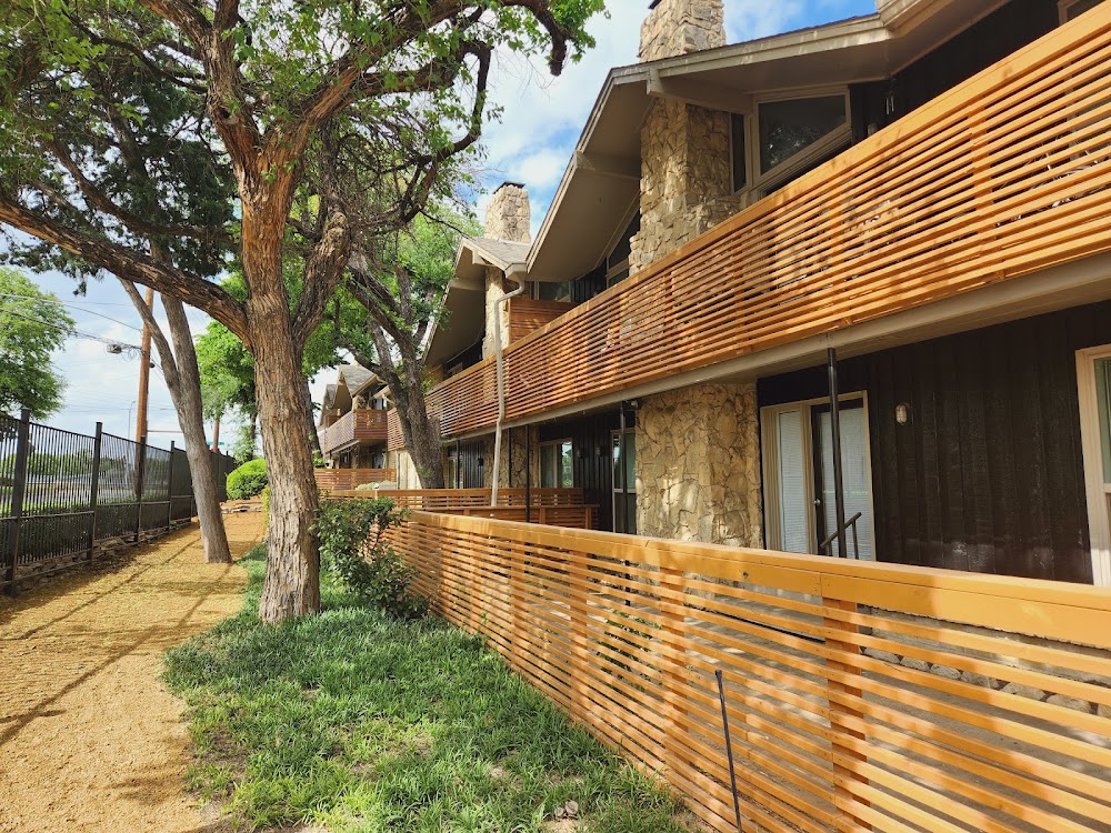 Imagen de la galería 5
