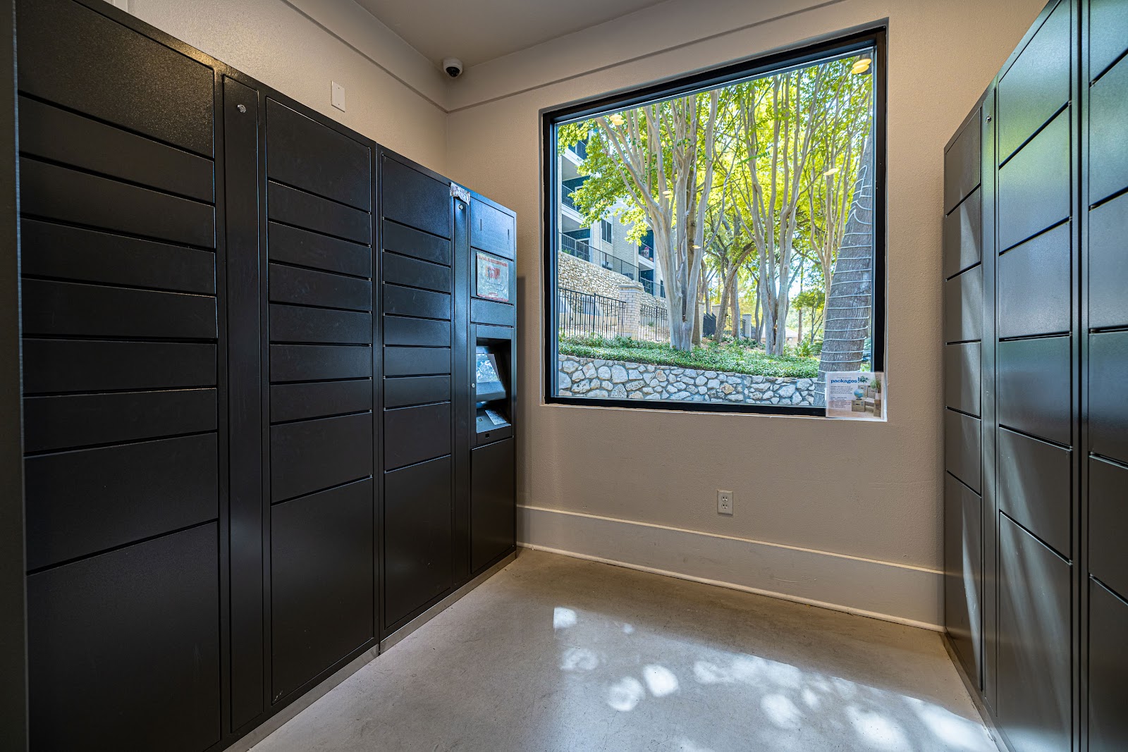 Gallery Image 5