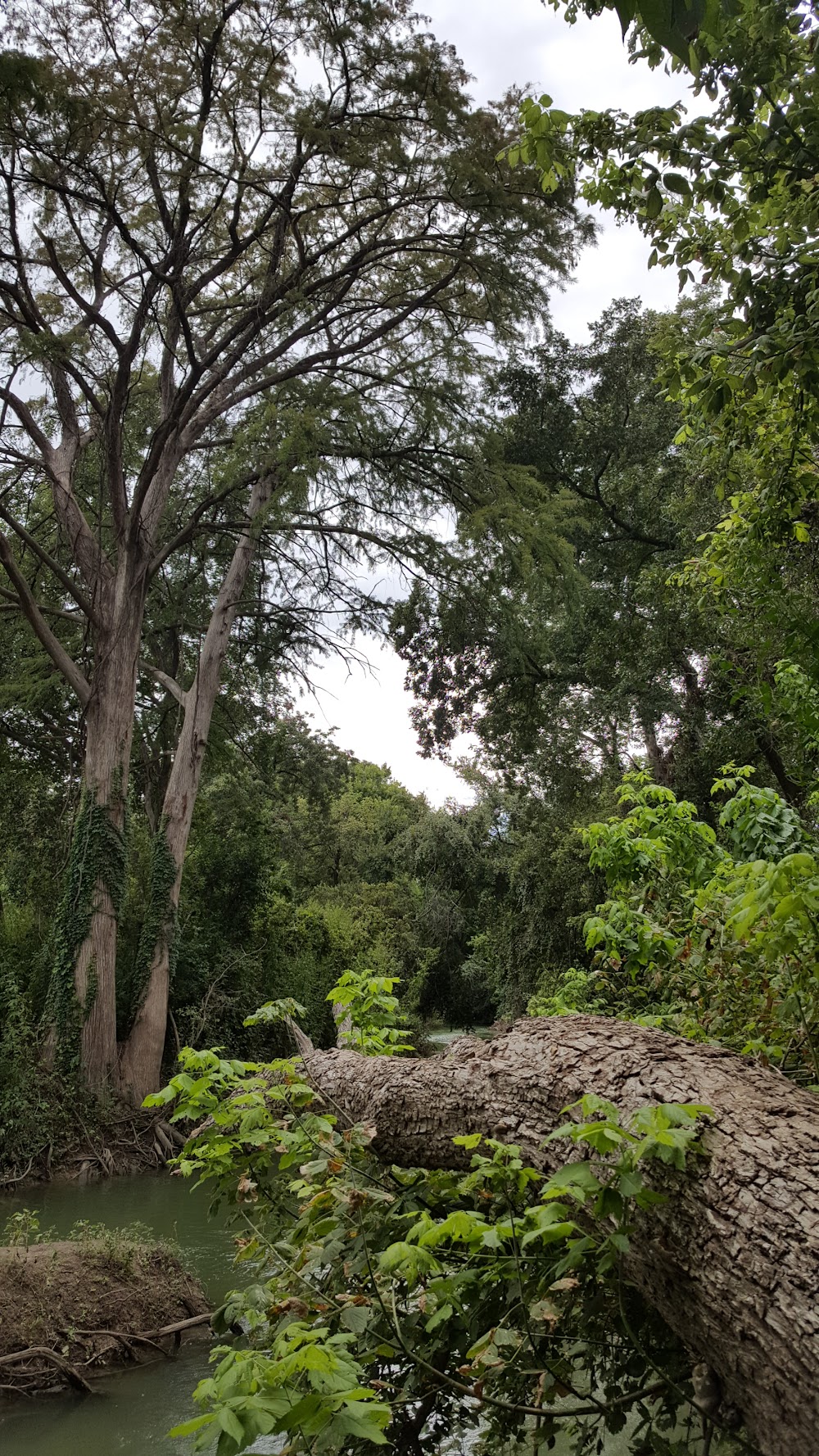 Imagen de la galería 1