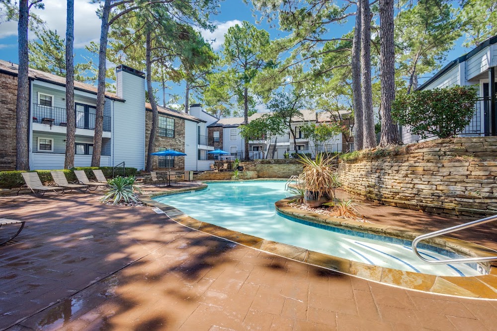 Imagen de la galería 5