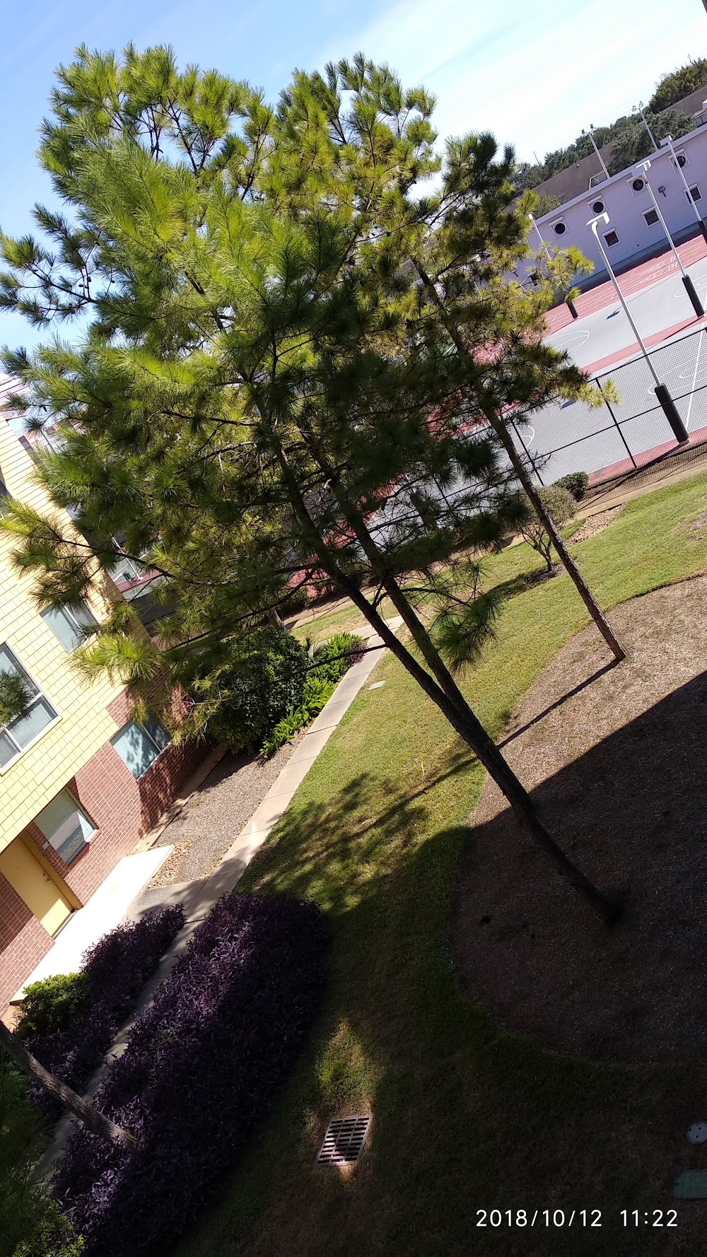 Imagen de la galería 2