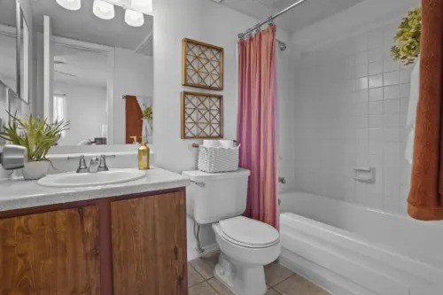 Imagen de la galerĂa 8