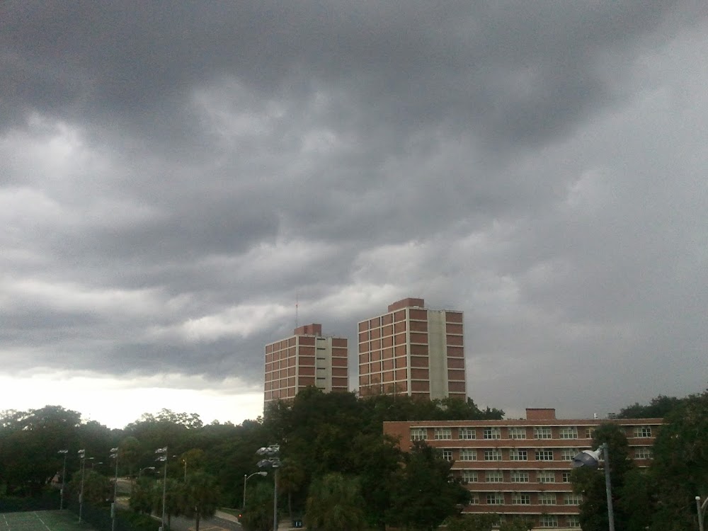 Imagen de la galería 4