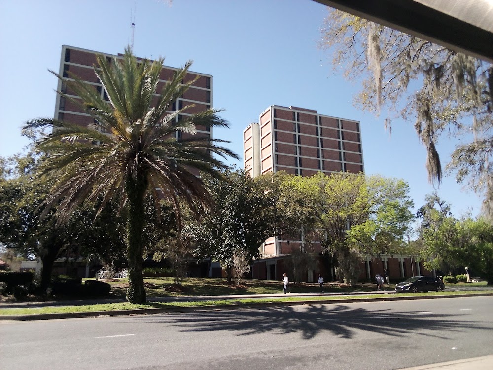 Imagen de la galería 6