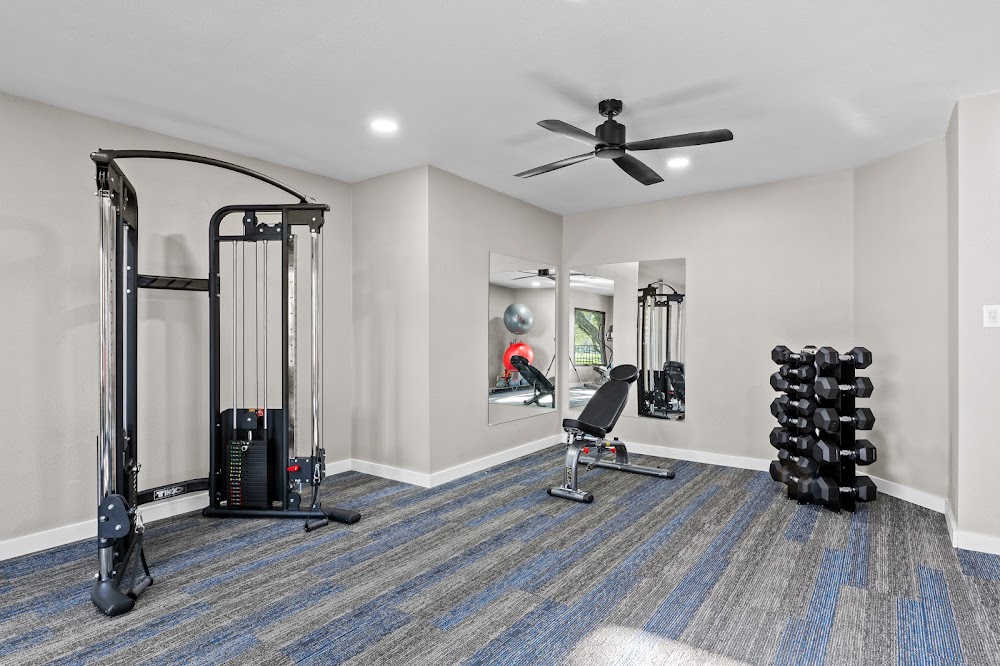 Imagen de la galería 10
