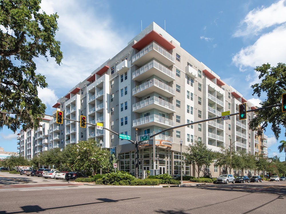 Imagen de la galería 7